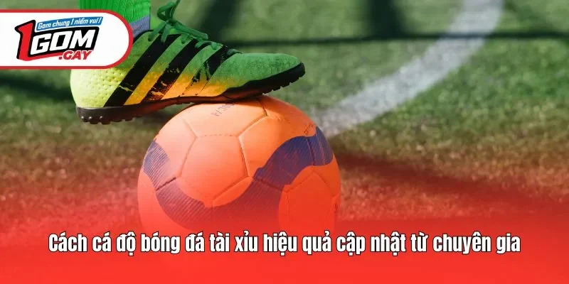 Cách cá độ bóng đá tài xỉu hiệu quả cập nhật từ chuyên gia