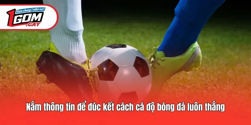 Nắm thông tin để đúc kết cách cá độ bóng đá luôn thắng