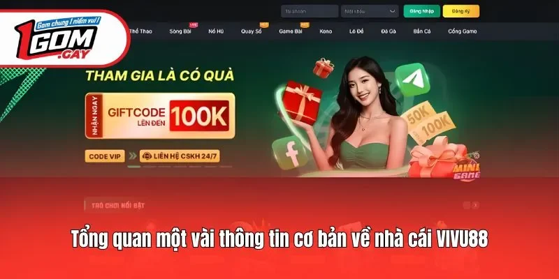 Tổng quan một vài thông tin cơ bản về nhà cái Vivu88