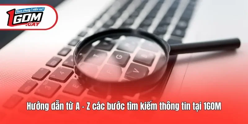 Hướng dẫn từ A - Z các bước tìm kiếm thông tin tại 1GOM